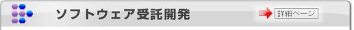 ソフトウェア受託開発
